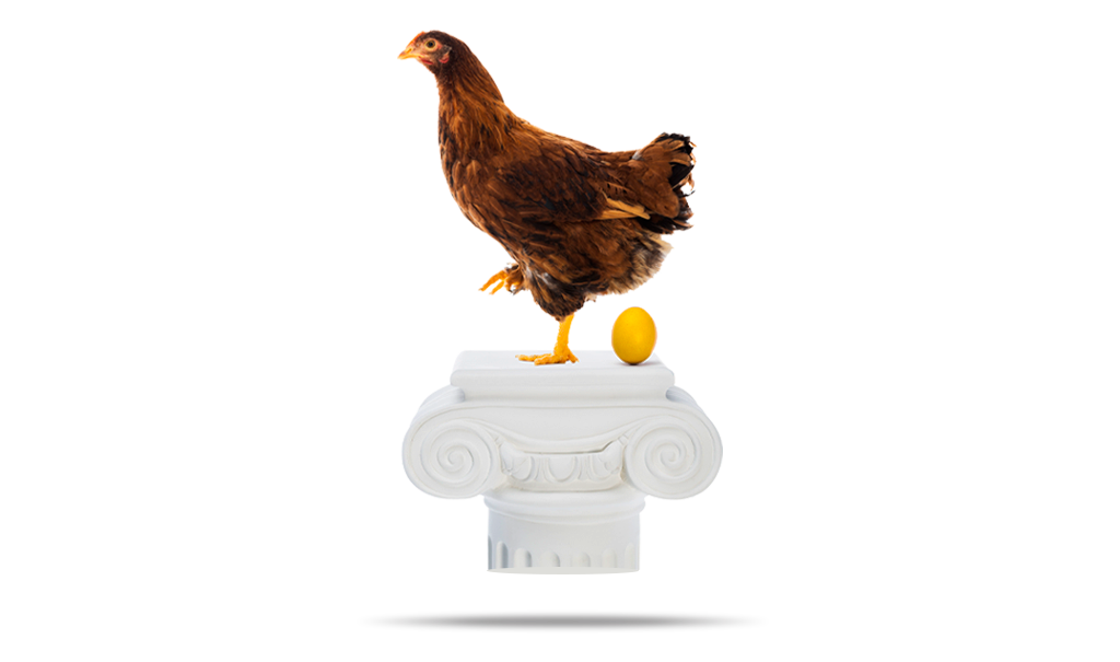 A chicken laying an egg on top of a column.