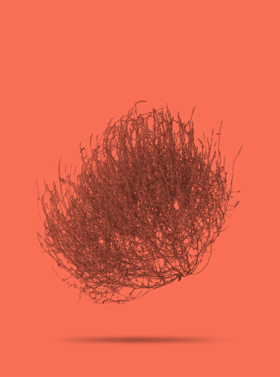 A tumbleweed on a red background.